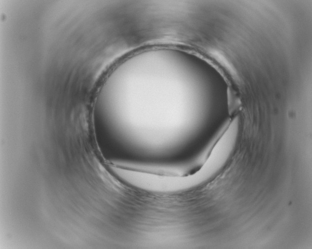 X0000088621356200706151842