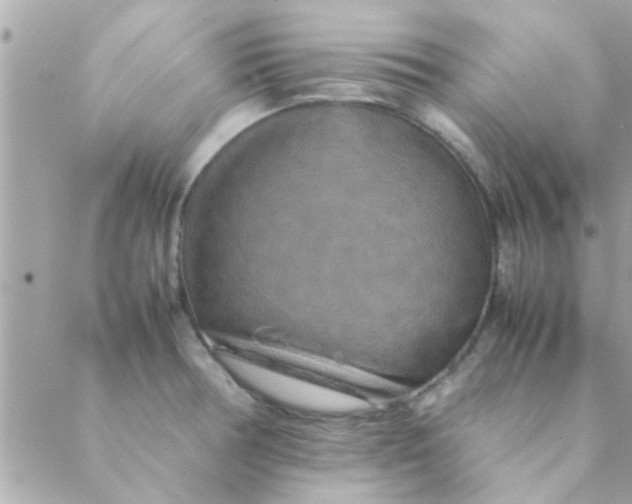 X0000088621378200706151841