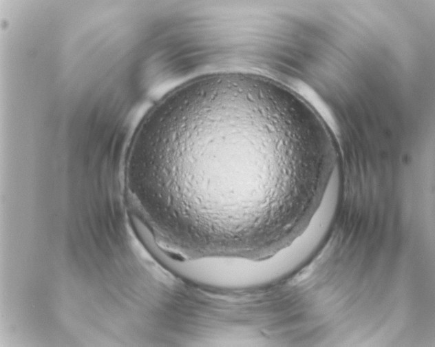 X0000088621388200706151841