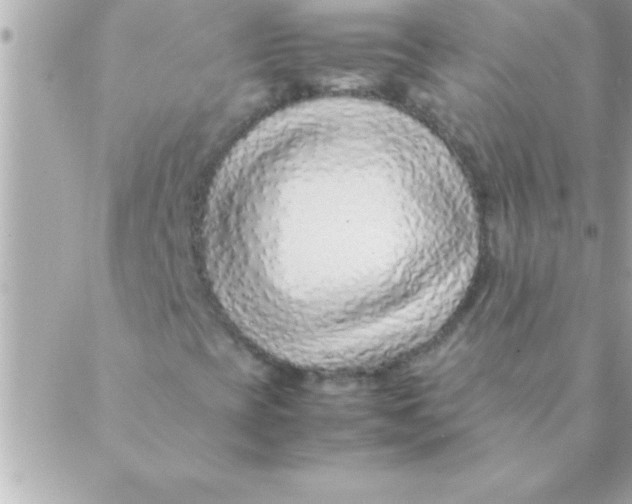 X0000088621393200706151840