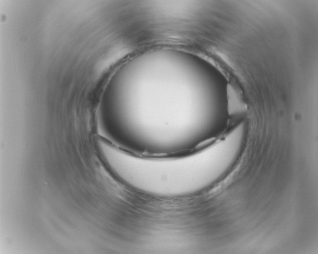 X0000088621402200706151840