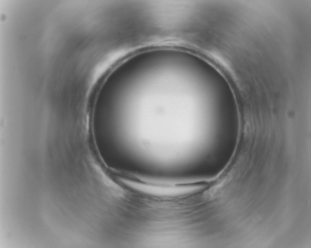 X0000088621414200706151841