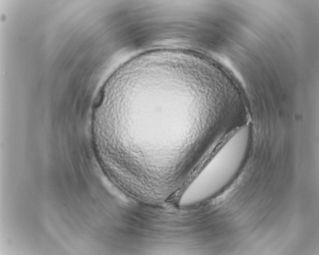 X0000088621421200706151841