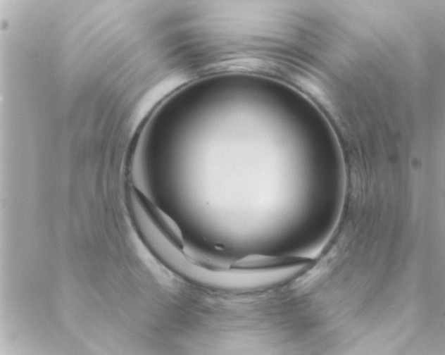 X0000088621426200706151841