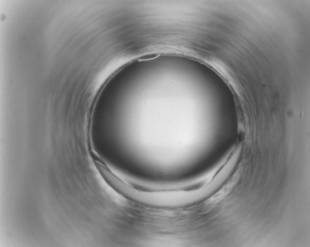 X0000088621438200706151841
