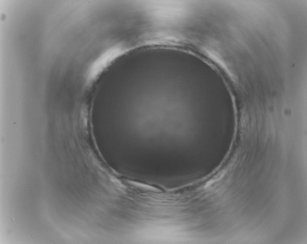 X0000088621455200706151840