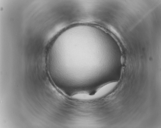 X0000088621456200706151840