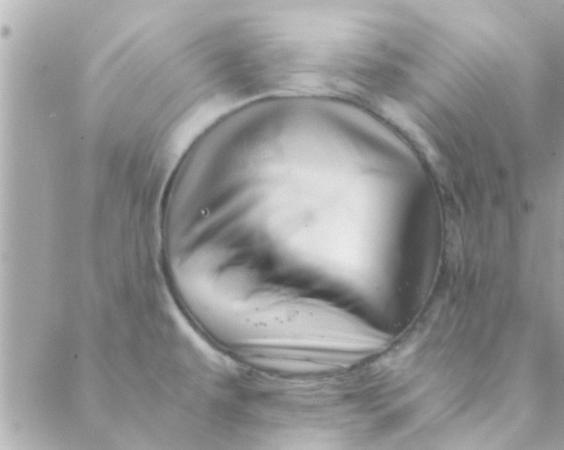 X0000088621479200706151840