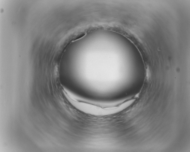 X0000088621492200706151839