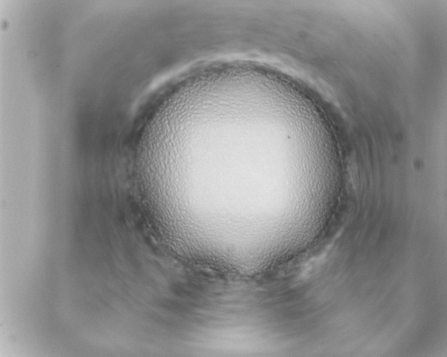 X0000088621494200706151839