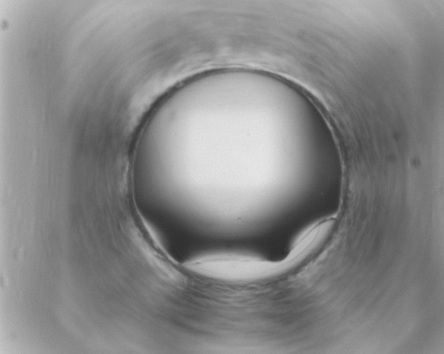 X0000088621507200706151839