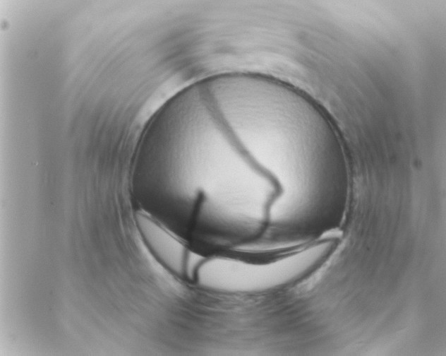 X0000088621521200706151839