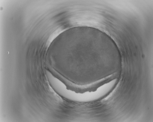 X0000088621529200706151839
