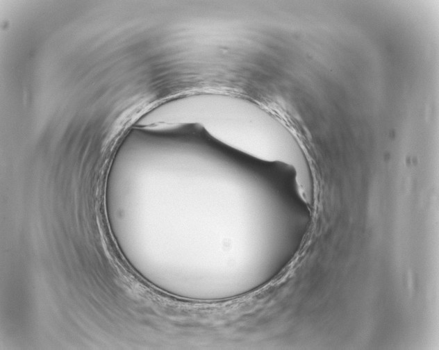 X0000088620001200706221507