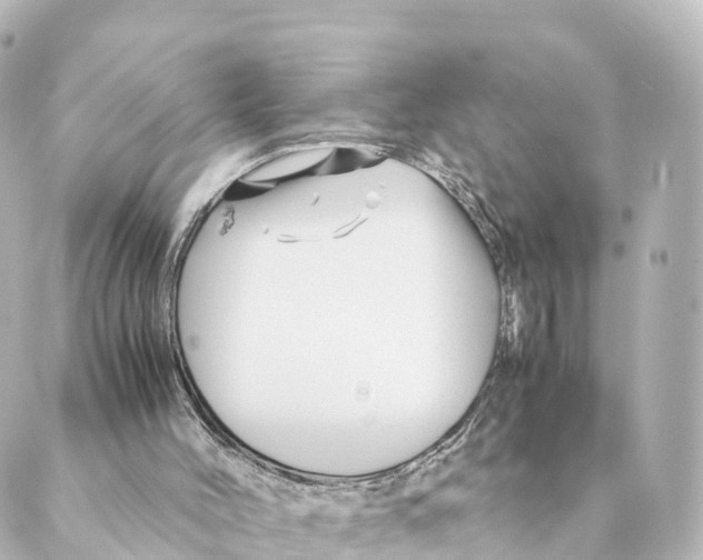 X0000088620004200706221507