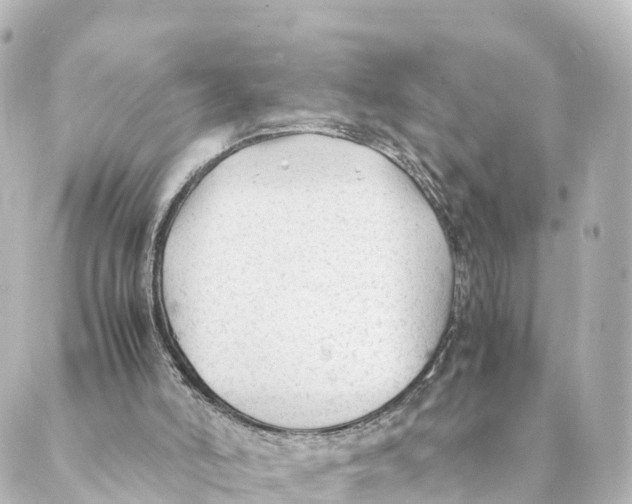 X0000088620006200706221507