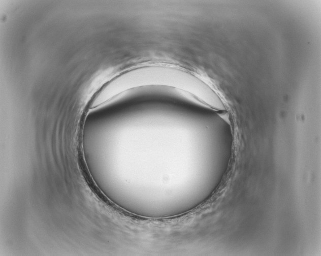 X0000088620007200706221507