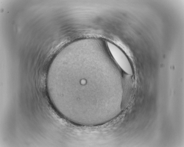 X0000088620009200706221507