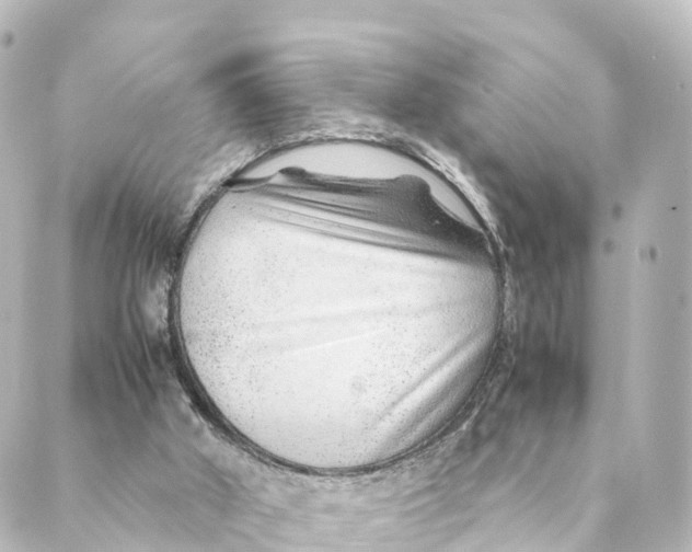 X0000088620010200706221507