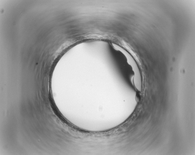 X0000088620011200706221507