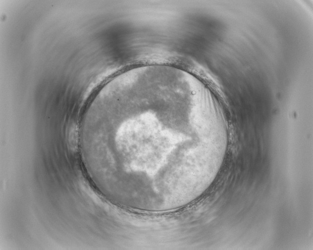 X0000088620012200706221507