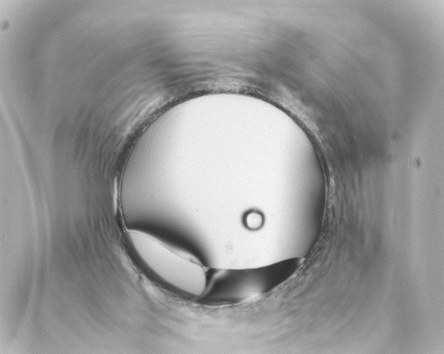 X0000088620013200706221507