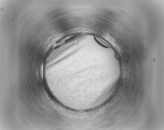 X0000088620014200706221507