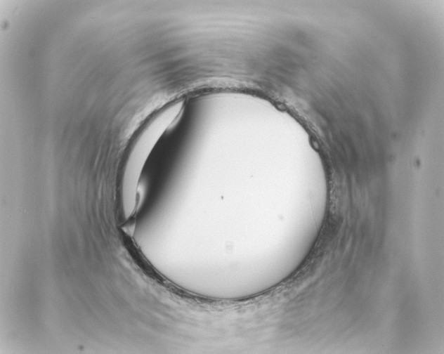 X0000088620015200706221507