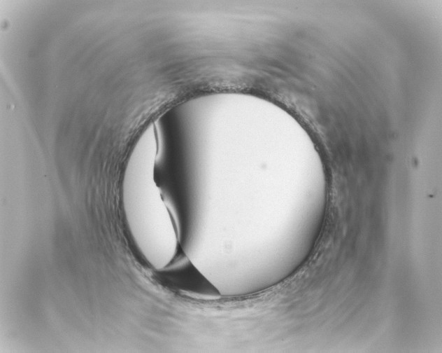 X0000088620017200706221507