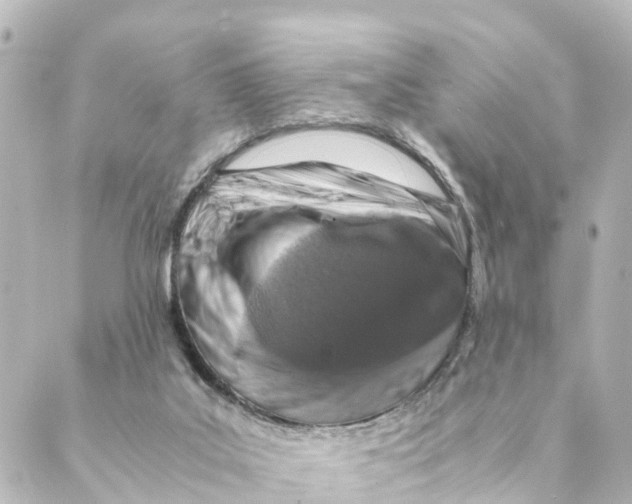 X0000088620019200706221507