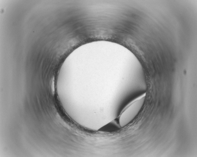 X0000088620020200706221507