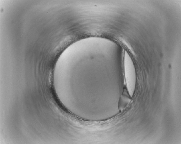 X0000088620023200706221507