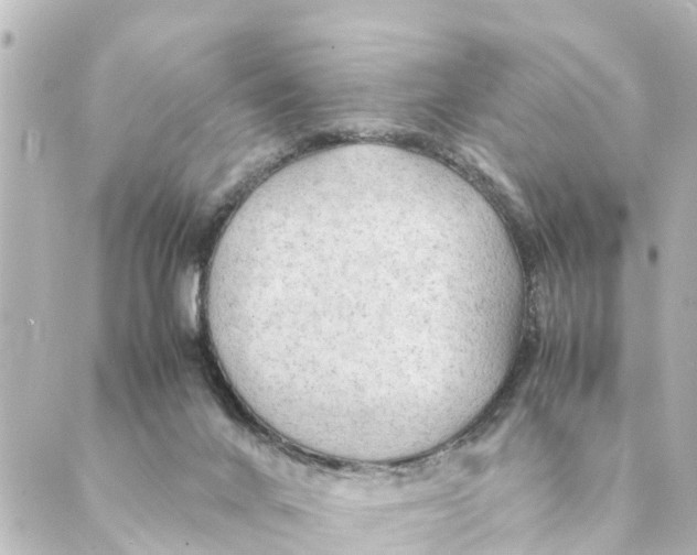 X0000088620024200706221507