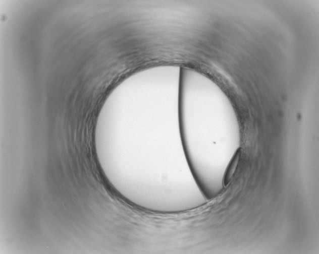 X0000088620025200706221507