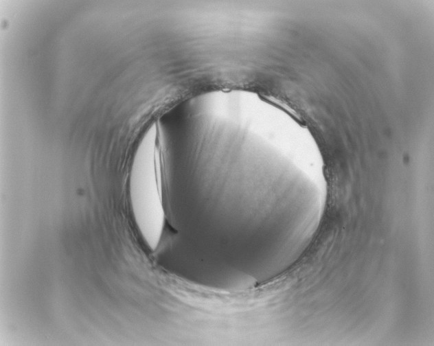 X0000088620027200706221507