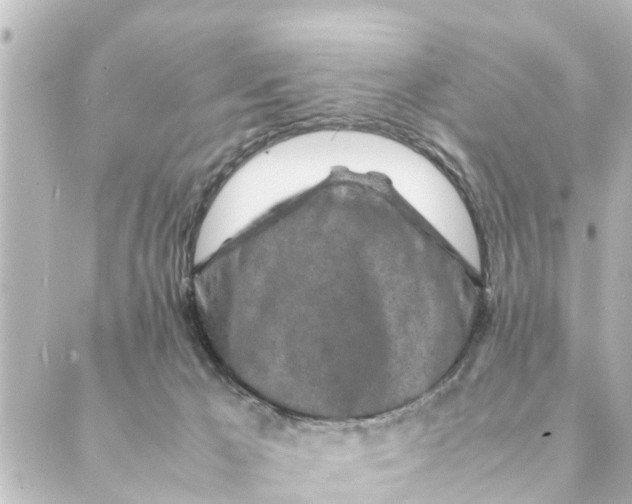 X0000088620029200706221507