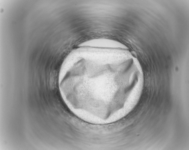 X0000088620030200706221506