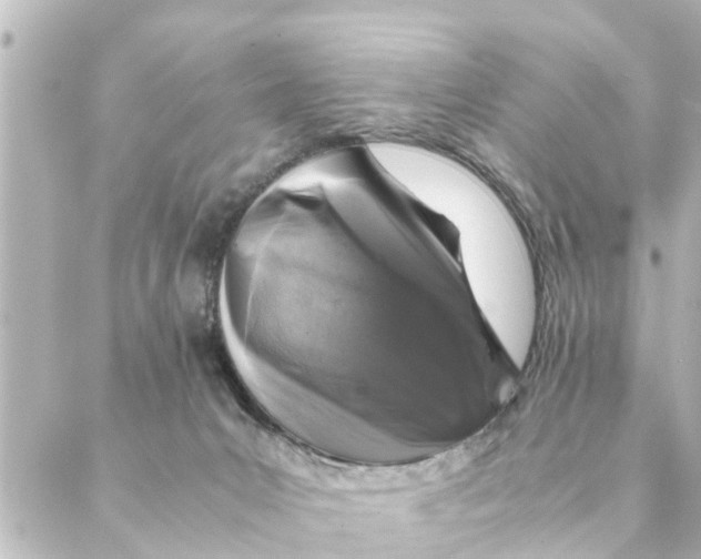 X0000088620031200706221506