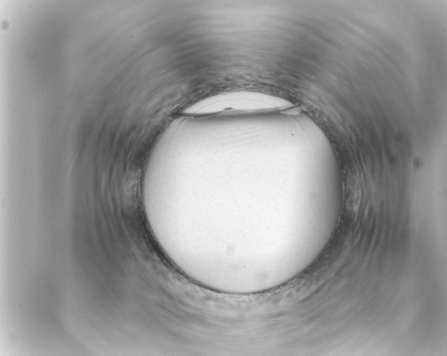 X0000088620034200706221506