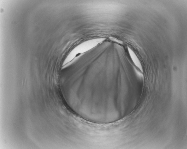 X0000088620035200706221506