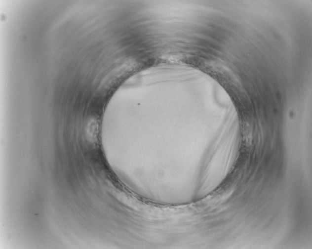 X0000088620036200706221506