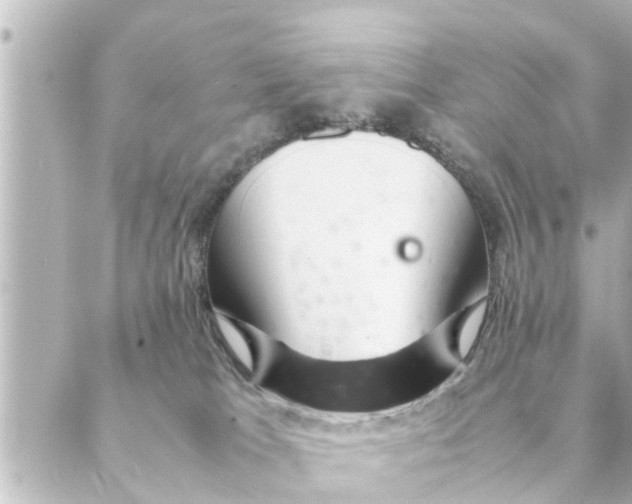 X0000088620037200706221506