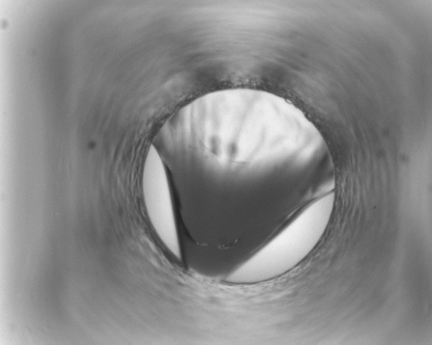 X0000088620039200706221506