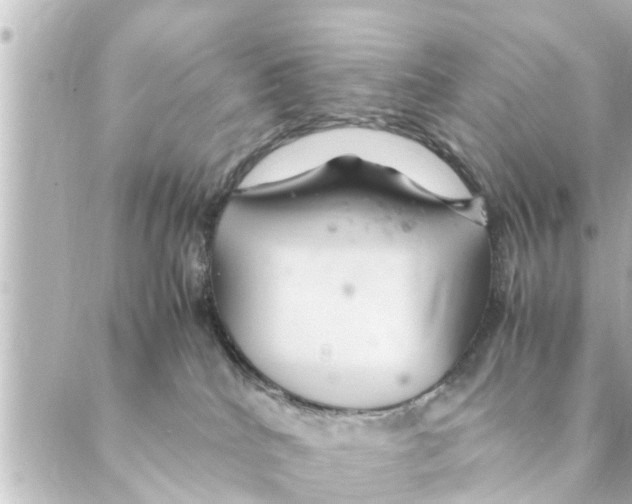 X0000088620040200706221506