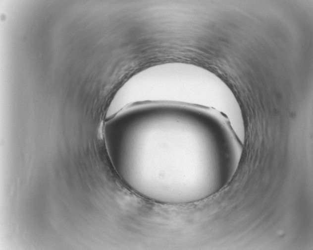 X0000088620041200706221506