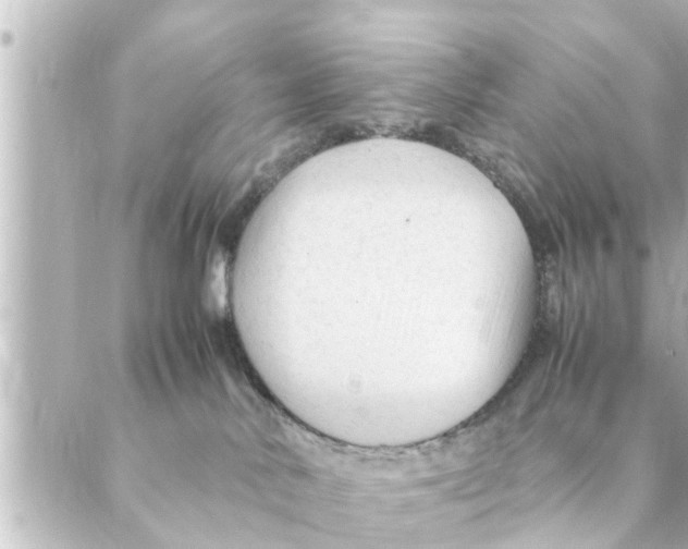 X0000088620042200706221506