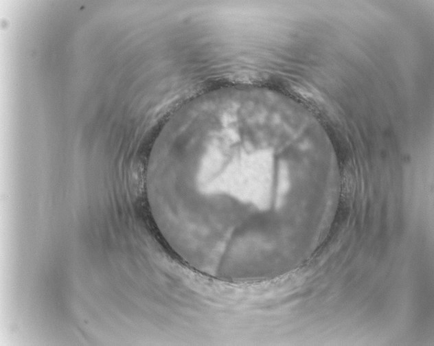 X0000088620043200706221506