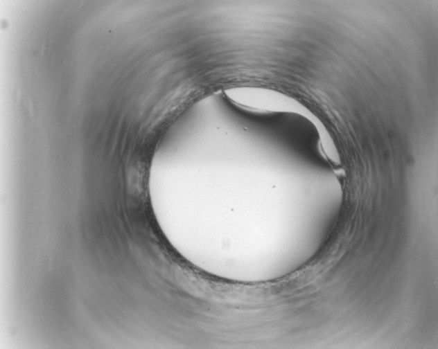 X0000088620044200706221506