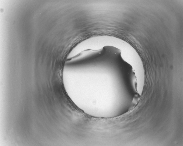 X0000088620045200706221506