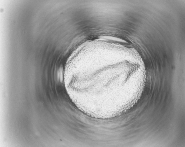 X0000088620046200706221506